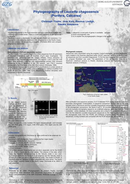 Phylogeography of Leucetta chagosensis (Porifera, Calcarea) Christoph Flucke, Jens Kurz, Rasmus Liedigk, Zdenka Valenzova Fig.4: RAxML Phylogram Fig.5: