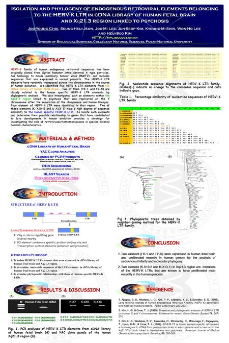 ABSTRACT Isolation and phylogeny of endogenous retroviral elements belonging to the HERV-K LTR in cDNA library of human fetal brain and X q 21.3 region.