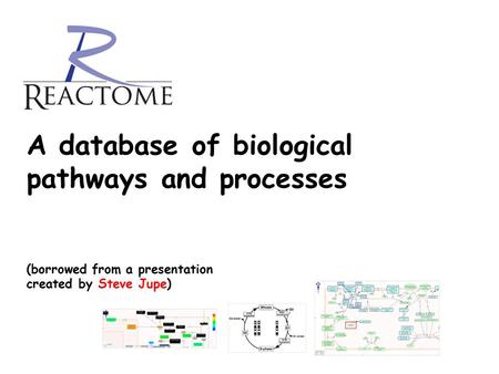 A database of biological pathways and processes (borrowed from a presentation created by Steve Jupe)