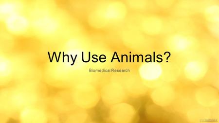 Why Use Animals? Biomedical Research.