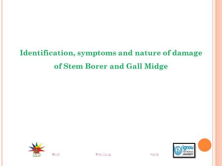 Identification, symptoms and nature of damage of Stem Borer and Gall Midge EndNextPrevious.