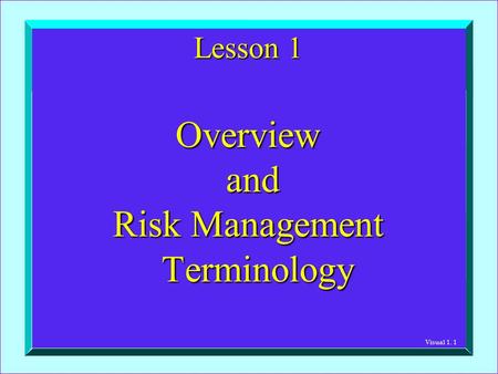 Visual 1. 1 Lesson 1 Overview and and Risk Management Terminology.