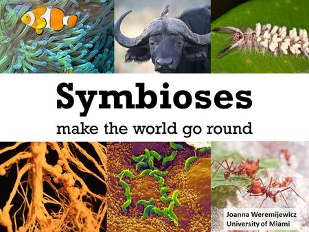 Symbioses make the world go round