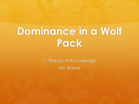 Dominance in a Wolf Pack