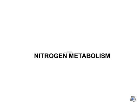 NITROGEN METABOLISM. animals plants fungi Nitrogen is essential for all organisms (in amino acids and nucleic acids). Most of the conversions between.