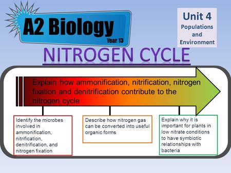 A2 Biology NITROGEN CYCLE Unit 4