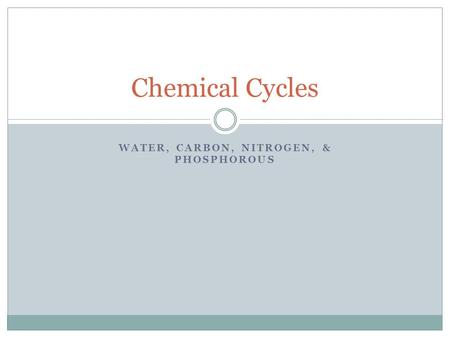 WATER, CARBON, NITROGEN, & PHOSPHOROUS Chemical Cycles.