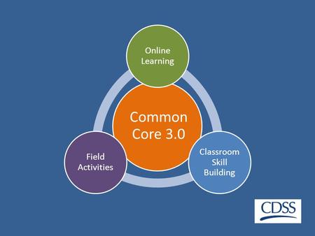 Common Core 3.0 Online Learning Classroom Skill Building Field Activities.