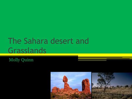 The Sahara desert and Grasslands