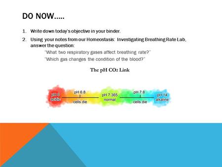 DO NOW….. 1.Write down today’s objective in your binder. 2.Using your notes from our Homeostasis: Investigating Breathing Rate Lab, answer the question: