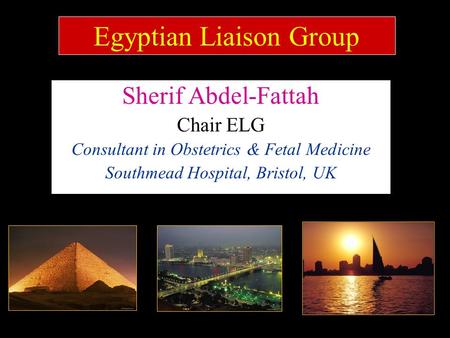 Sherif Abdel-Fattah Chair ELG Consultant in Obstetrics & Fetal Medicine Southmead Hospital, Bristol, UK Egyptian Liaison Group.