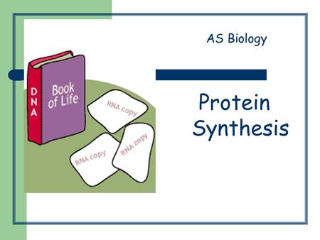 Protein Synthesis AS Biology. Protein synthesis pg 72-73 1. DNA unwinds 2. mRNA copy is made of one of the DNA strands. 3. mRNA copy moves out of nucleus.