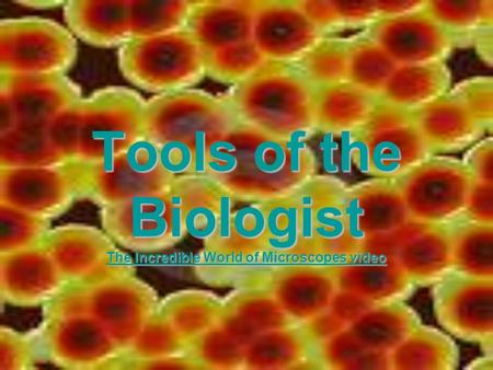 Tools of the Biologist The Incredible World of Microscopes video