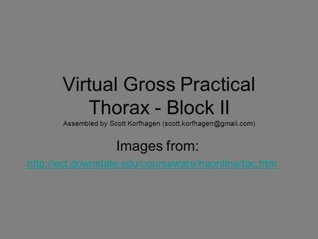 Virtual Gross Practical Thorax - Block II Assembled by Scott Korfhagen