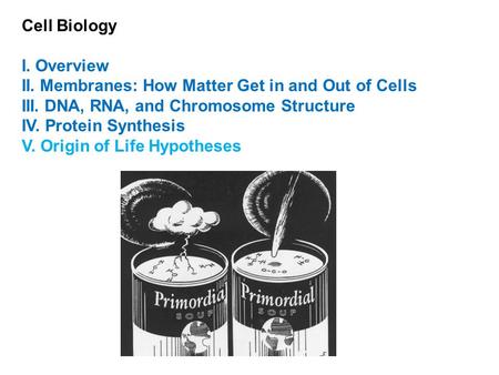 Cell Biology I. Overview II. Membranes: How Matter Get in and Out of Cells III. DNA, RNA, and Chromosome Structure IV. Protein Synthesis V. Origin of Life.