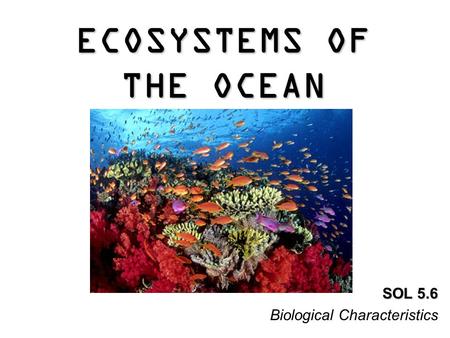 ECOSYSTEMS OF THE OCEAN