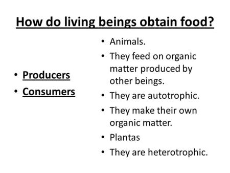 How do living beings obtain food? Producers Consumers Animals. They feed on organic matter produced by other beings. They are autotrophic. They make their.