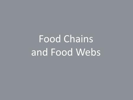 Food Chains and Food Webs