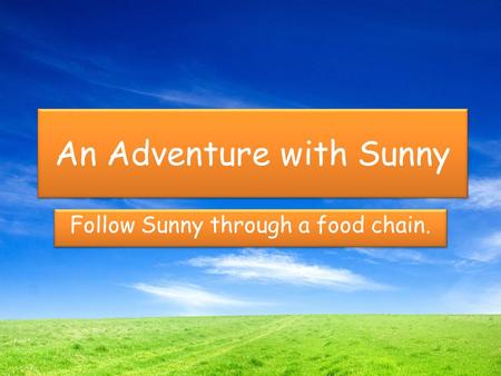 An Adventure with Sunny Follow Sunny through a food chain.