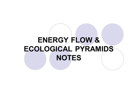 ENERGY FLOW & ECOLOGICAL PYRAMIDS NOTES. ECOLOGY DEFINITIONS Ecology – study of organisms and their interactions with the environment.