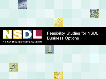 Feasibility Studies for NSDL Business Options. Overview of the Problem and the Plan The Problem and Context  The NSDL is an NSF research program now,