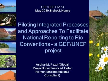 Piloting Integrated Processes and Approaches To Facilitate National Reporting to Rio Conventions – a GEF/UNEP project CBD SBSTTA 14 May 2010, Nairobi,