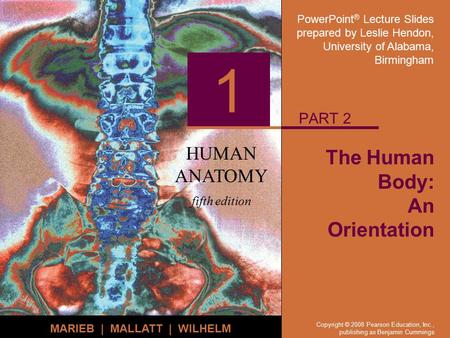 The Human Body: An Orientation