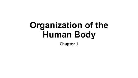 Organization of the Human Body Chapter 1. Anatomy and Physiology Anatomy = Structure Physiology = Function.