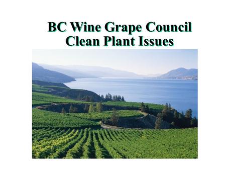 BC Wine Grape Council Clean Plant Issues Brief overview of BC Grape and Wine Sector Re-invented in 1989 Approx. 130 Wineries Approx 10,000 acres in wine.