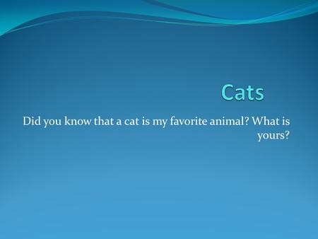 Did you know that a cat is my favorite animal? What is yours?