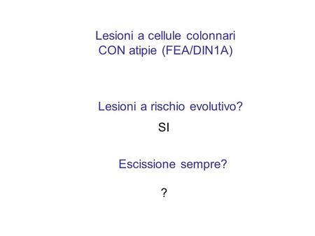 Lesioni a cellule colonnari CON atipie (FEA/DIN1A) Lesioni a rischio evolutivo? Escissione sempre? SI ?