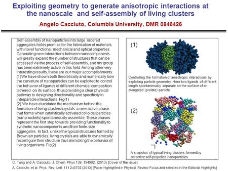 Exploiting geometry to generate anisotropic interactions at the nanoscale and self-assembly of living clusters Angelo Cacciuto, Columbia University, DMR.