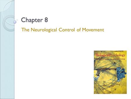 Chapter 8 The Neurological Control of Movement. Levels of Control of Movement Movements can range from simple to complex: The simplest movements are reflexive.