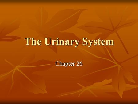 The Urinary System Chapter 26. Functions Regulating blood volume and blood pressure Regulating blood volume and blood pressure Regulated concentration.