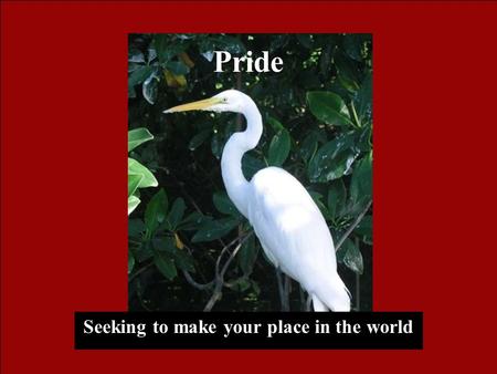 Seeking to make your place in the world Pride. Humility Finding You Place in God’s World.