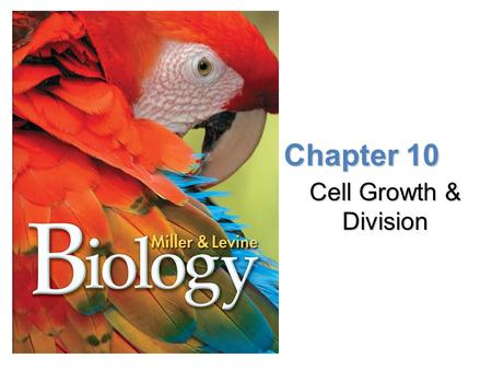 Lesson Overview Lesson Overview Cell Growth, Division, and Reproduction Chapter 10 Cell Growth & Division.