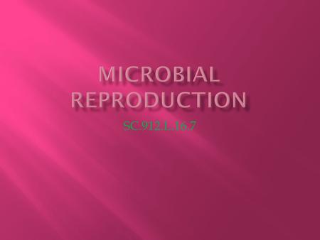 SC.912.L.16.7.  In Eukaryotes: gene transfer only from parent to offspring during sexual reproduction (pre technology)  In Prokaryotes: genetic transfer.