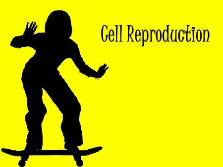 Cell Reproduction. I. Cell Growth Why do cells divide rather than grow into 1 giant cell? A.DNA “Overload” 1. A cell’s nucleus contains DNA which has.