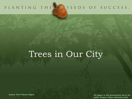 Trees in Our City Interior West Climate Region All images in this presentation are in the public domain unless otherwise noted.