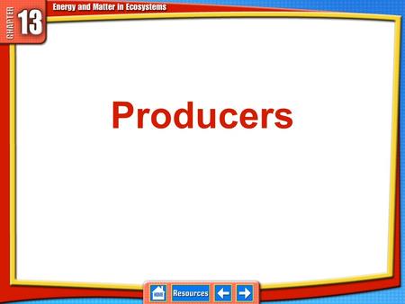 Producers. Ecosystems An ecosystem includes biotic and abiotic factors. 13.1 Producers and Consumers Ecology is the study of the interactions between.