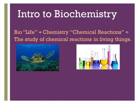 + Intro to Biochemistry Bio “Life” + Chemistry “Chemical Reactions” = The study of chemical reactions in living things.