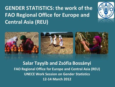 GENDER STATISTICS: the work of the FAO Regional Office for Europe and Central Asia (REU) Salar Tayyib and Zsófia Bossányi FAO Regional Office for Europe.