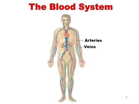 1 The Blood System Arteries Veins 2 Objectives After studying this chapter, you will be able to Name the parts of the blood system and discuss the function.