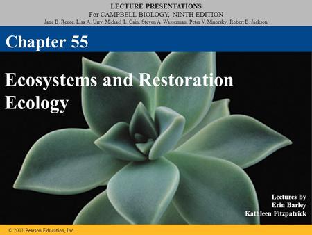 LECTURE PRESENTATIONS For CAMPBELL BIOLOGY, NINTH EDITION Jane B. Reece, Lisa A. Urry, Michael L. Cain, Steven A. Wasserman, Peter V. Minorsky, Robert.