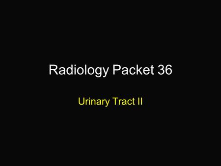 Radiology Packet 36 Urinary Tract II. 3-year old Shih Tzu “Maggie” Hx: Presented because of straining to urinate.