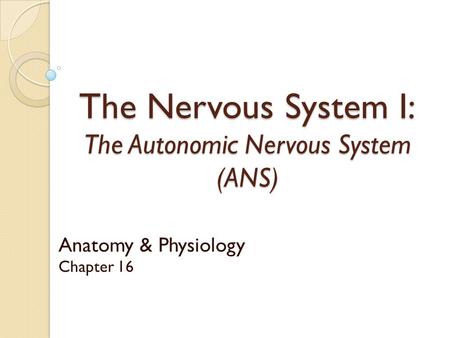 The Nervous System I: The Autonomic Nervous System (ANS) Anatomy & Physiology Chapter 16.