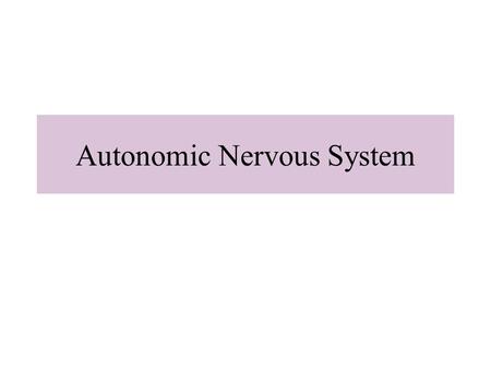 Autonomic Nervous System