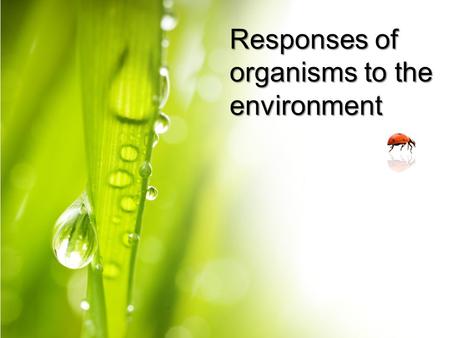 Responses of organisms to the environment. Behaviour Responses of organisms to signals from their internal or external environment are called behaviour.