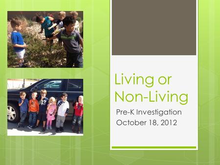 Living or Non-Living Pre-K Investigation October 18, 2012.