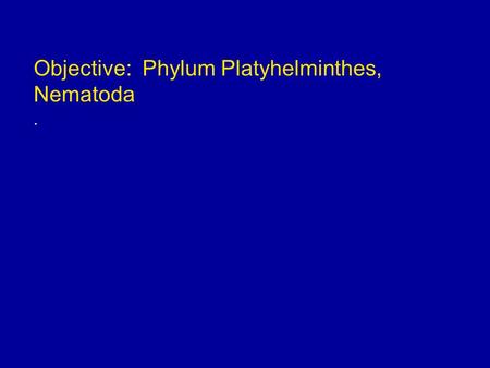 Objective: Phylum Platyhelminthes, Nematoda.. Body Plan Bilateral Symmetry - Mirror image (left side mirrors right side)